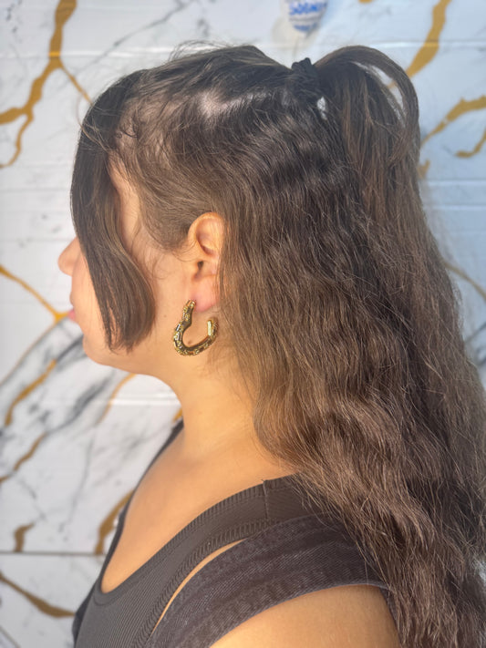 Accessori: orecchini cuore brilio